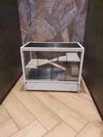 Hamsterkooi Ferplast, Minder dan 60 cm, Kooi, Minder dan 75 cm, Ophalen of Verzenden