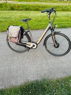 Giant elektrische fiets, Ophalen, Zo goed als nieuw, 50 km per accu of meer, Overige merken