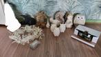 Diverse kerst-, halloween en herfst spullen, Diversen, Kerst, Ophalen of Verzenden