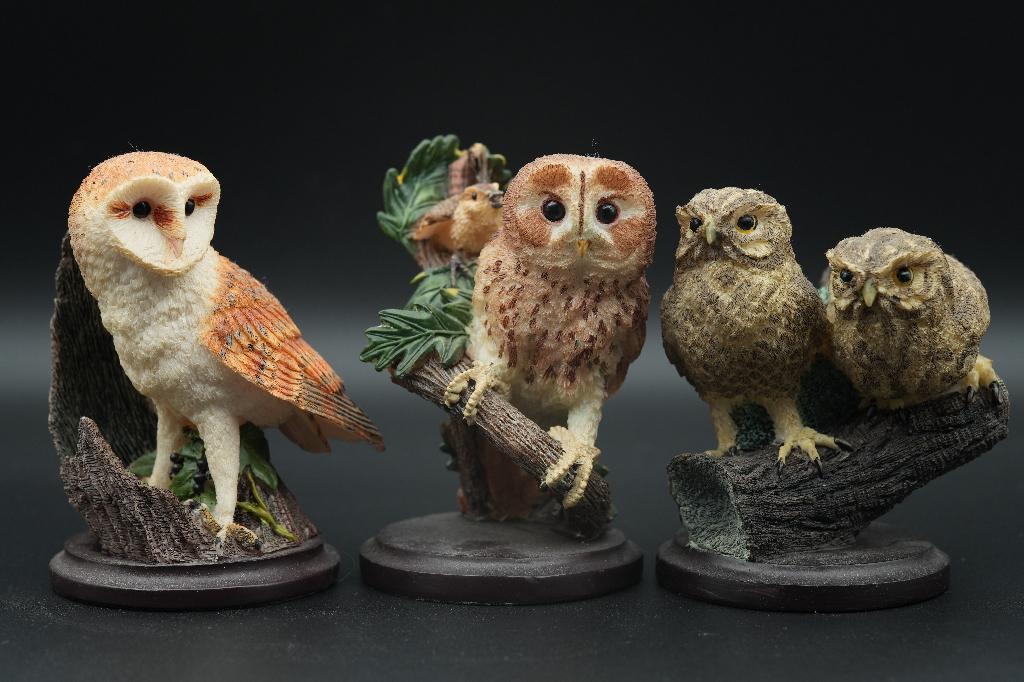 Eaglemoss Andy Pearce COUNTRY BIRD Collection, Ophalen of Verzenden, Gebruikt, Beeldje of Figuurtje