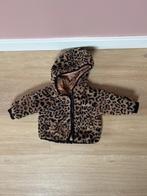 Z.g.a.n. Jas / jack met capuchon en leopard print, Zara, 80, Meisje, Ophalen of Verzenden, Zo goed als nieuw, Zara