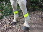 Reflectie beenbandjes, Dieren en Toebehoren, Paarden en Pony's | Beschermers, -, Verzenden, -, Nieuw