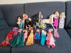 Barbies en Disney poppen en 2 barbie paarden!, Kleding | Dames, Ophalen of Verzenden, Carnaval