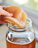 Kombucha SCOBY met startervloeistof + recept- direct starten, Ophalen