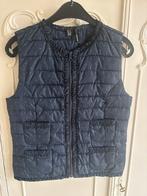 Nieuw blauw bodywarmer merk Mango maat S 36, Mango, Blauw, Nieuw, Ophalen of Verzenden