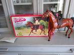 Barbie Dancer- paard originele doos en gebruiksaanwijzing, Ophalen of Verzenden, Zo goed als nieuw, Pop