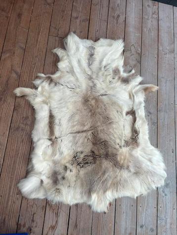 Rendierenhuid kleed beschikbaar voor biedingen