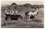 Schiermonnikoog   -   boerenwagen naar Willemsduin , 1958, Ophalen of Verzenden, 1940 tot 1960, Gelopen, Waddeneilanden