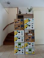 12X verhuisdoos bananendoos bananendozen voor €10,00, Doe-het-zelf en Verbouw, Ophalen, 40 tot 60 cm, 50 tot 75 cm, Minder dan 35 cm