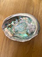 Erg grote Abalone Schelp -, Ophalen of Verzenden, Schelp(en)