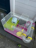 Hamster kooi, Dieren en Toebehoren, Kooi, Minder dan 75 cm, Minder dan 60 cm, Hamster
