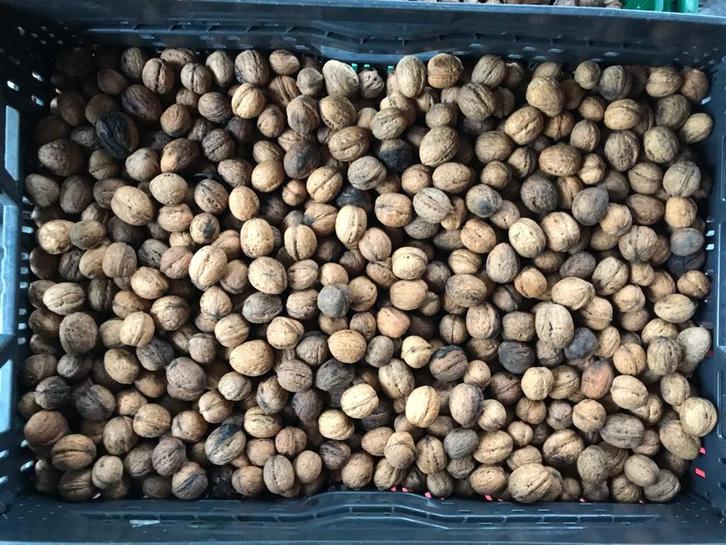 Biologische walnoten, Diversen, Levensmiddelen, Ophalen