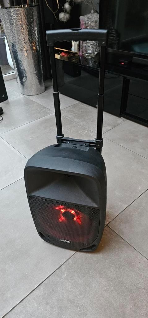 Party Light & Sound PARTY-300W Draagbare Speaker, Motoren, Accessoires | Koffers en Tassen, Nieuw, Ophalen of Verzenden