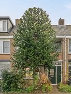 Apenboom gratis af te halen, Tuin en Terras, Planten | Bomen, Ophalen, Overige soorten