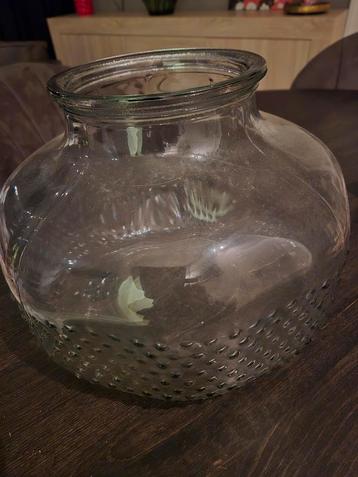 Glazen vaas beschikbaar voor biedingen