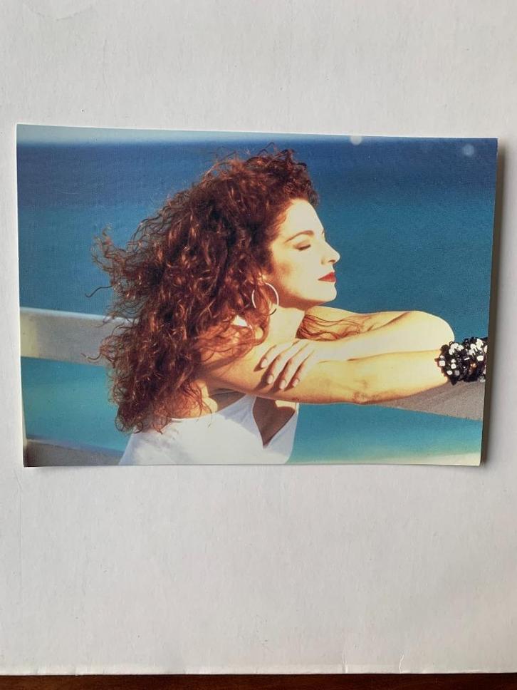 Gloria Estefan - Seal of Fate ( foto van platenmij), Boeken, Muziek, Zo goed als nieuw, Artiest, Verzenden