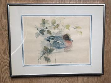 Schilderij – Wintertaling in het riet (aquarelstijl) beschikbaar voor biedingen