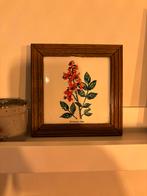 Lijstje met botanische tegel, Ophalen of Verzenden, Gebruikt, Hout, Minder dan 50 cm