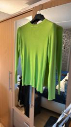 Trui maat L, Kleding | Dames, Truien en Vesten, Maat 42/44 (L), Nieuw, Ophalen of Verzenden, Hema