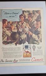 Camel WWII print, Ophalen of Verzenden, Nederland, Foto of Poster