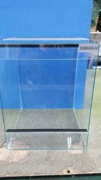 Terrarium 40*35*60 cm NIEUW aanbieding, Dieren en Toebehoren, Ophalen, Nieuw, Info@terraglas.nl, Terraglas