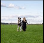 Verzorgpaard/pony gezocht!, Ophalen of Verzenden