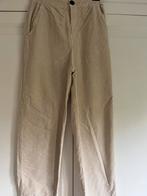 Bellerose ribfluweel broek Pasop, Ophalen of Verzenden, Zo goed als nieuw, Maat 36 (S), Lang