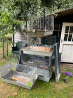 Gratis konijnen hokken, Dieren en Toebehoren, Ophalen, Kooi, Gebruikt, 60 tot 90 cm