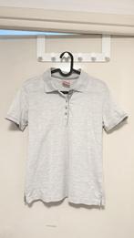Champion polo dames maat M (valt als S), Ophalen of Verzenden, Zo goed als nieuw, Maat 48/50 (M), Grijs