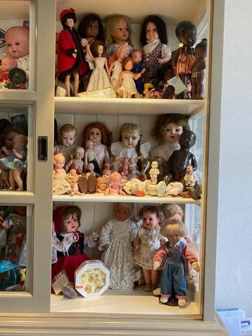 Collectie Schildpad / Schildkrot poppen beschikbaar voor biedingen