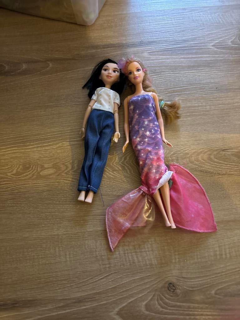 Twee leuke poppen, Ophalen of Verzenden, Zo goed als nieuw, Barbie