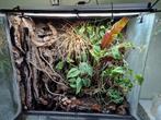 Paludarium,  terrarium en veel meer, Dieren en Toebehoren, Reptielen en Amfibieën | Toebehoren, Gebruikt, Terrarium of Paludarium