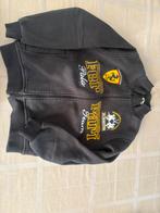 Ferrari vest maat 140, Ophalen of Verzenden, Zo goed als nieuw, Jongen, Trui of Vest