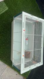 Knaagdieren kooi, Dieren en Toebehoren, Ophalen of Verzenden, Zo goed als nieuw, Kooi, Minder dan 60 cm