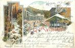 (379-119-023) Wildbad  Litho, Verzenden, Duitsland