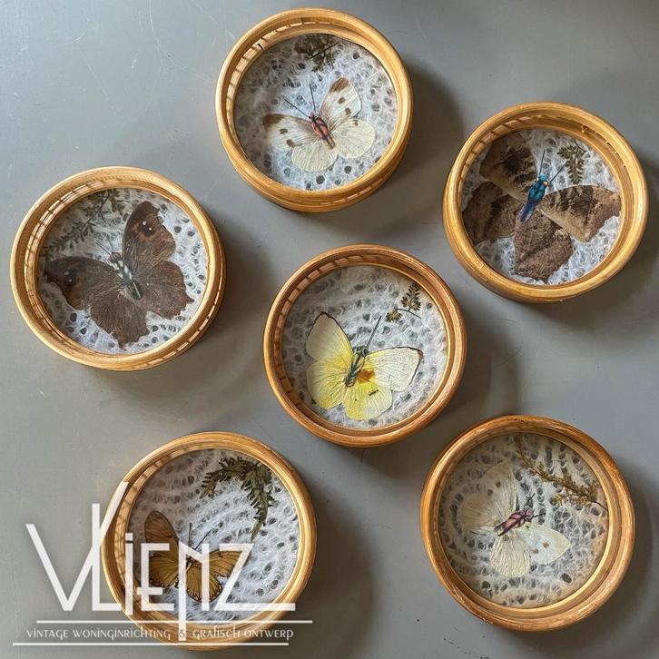 Vintage, retro, rotan onderzetters met vlinders achter glas, Verzamelen, Retro, Huis en Inrichting, Ophalen of Verzenden