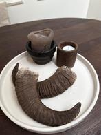 Setje Ramshoorns - Stoer, Landelijk, Decoratief, Ophalen of Verzenden, Gebruikt