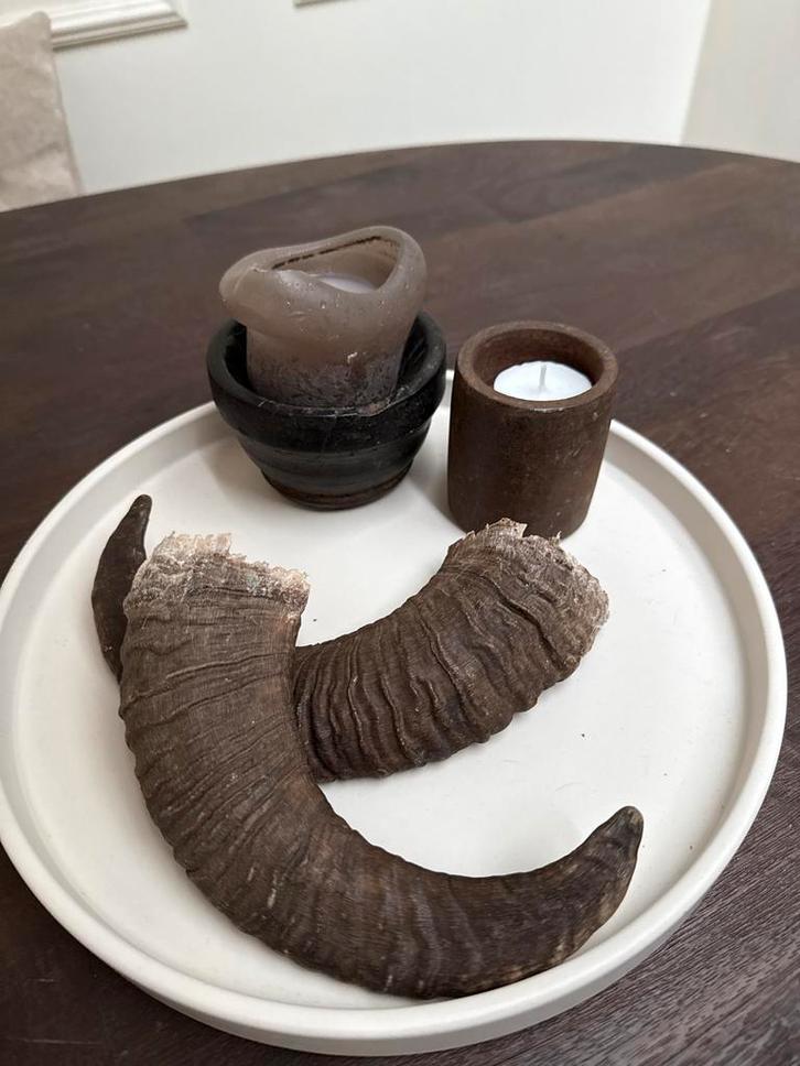 Setje Ramshoorns - Stoer, Landelijk, Decoratief, Huis en Inrichting, Woonaccessoires | Overige, Gebruikt, Ophalen of Verzenden