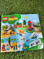 Duplo Dieren van de Wereld (10907) - Compleet!, Ophalen of Verzenden, Zo goed als nieuw, Complete set, Duplo