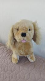 Loopt / blaft / kwispelt, Ophalen of Verzenden, Zo goed als nieuw, Hond