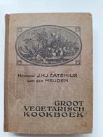 Groot Vegetarisch kookboek van JMJ Catenius van der Meijden, Antiek en Kunst, Antiek | Boeken en Bijbels, Ophalen of Verzenden