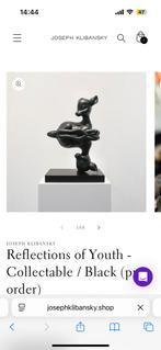 Joseph Klibansky reflection of Youth, Ophalen