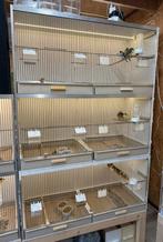 Gehu stelling (broed / kooien), Ophalen, Gebruikt, Broedkooi of Kweekkooi