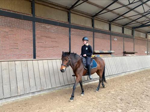 Twee enthousiaste verzorgers aangeboden/verzorgpony gezocht, Dieren en Toebehoren, Paarden en Pony's | Verzorgingsproducten, Zo goed als nieuw