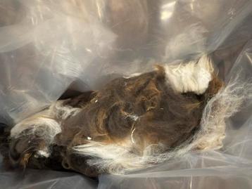 Alpacawol wol vilten spinnen breien kaarden alpaca vacht beschikbaar voor biedingen