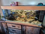 Aquarium 120cm, Dieren en Toebehoren, Ophalen, Zo goed als nieuw, Leeg aquarium