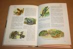 Reptielen en amfibieën der wereld - Hans Hvass, Boeken, Ophalen of Verzenden, Gelezen