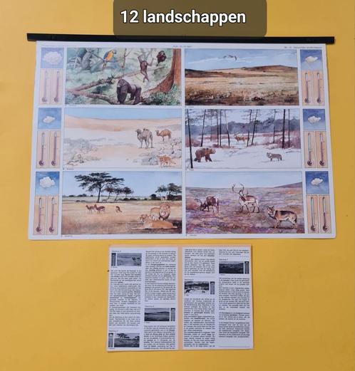Schoolplaten, incl bijlage omschrijving afbeeldingen, Antiek en Kunst, Antiek | Schoolplaten, Natuur en Biologie, Ophalen of Verzenden