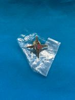 Efteling personeel pin, 70 jaar Efteling nieuw in verpakking, Verzenden, Nieuw, Button of Speldje