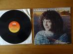 LP Andreas Vollenweider - Behind the garden, Cd's en Dvd's, Vinyl | Pop, Verzenden, 1960 tot 1980, Gebruikt